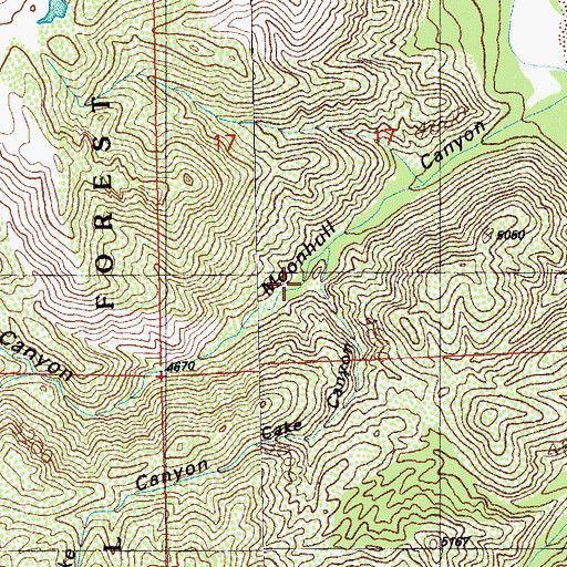 Topographic Map of Cake Canyon, NM