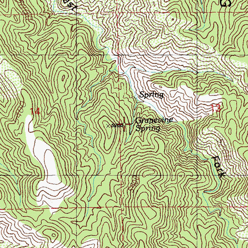 Topographic Map of Grapevine Spring, NM