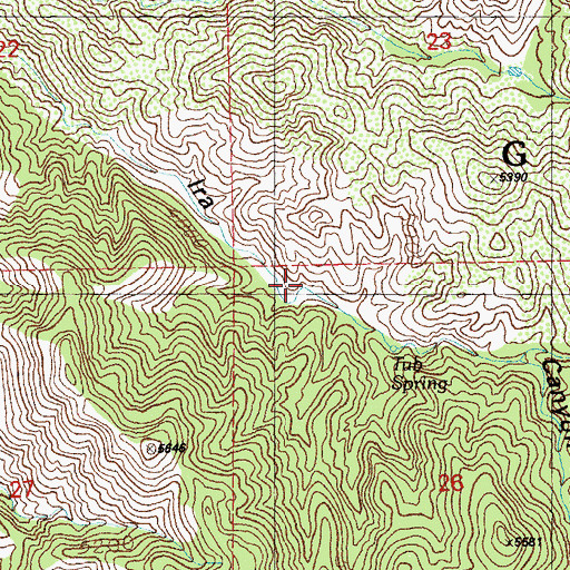 Topographic Map of Tub Spring, NM