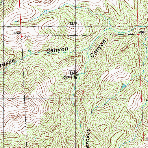 Topographic Map of Tub Spring, NM