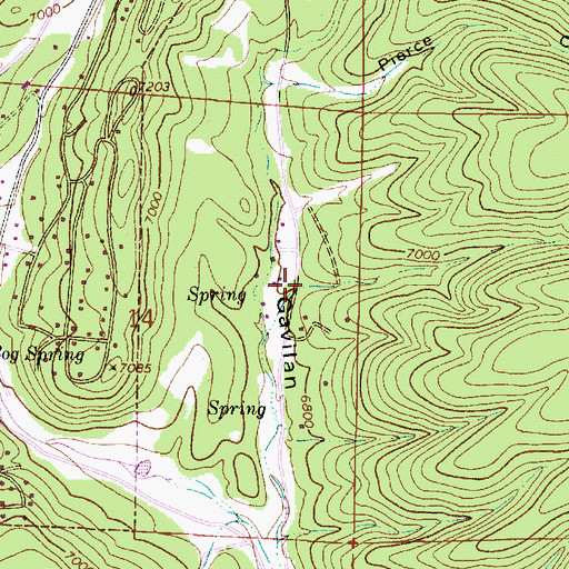Topographic Map of Bogg Canyon, NM