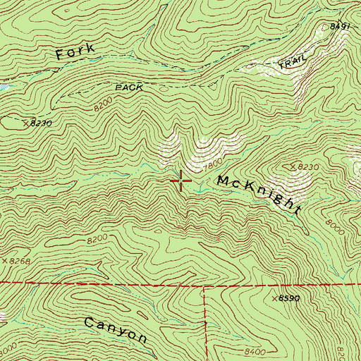 Topographic Map of North Fork McKnight Canyon, NM