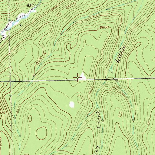 Topographic Map of Little Turkey Lake, NM