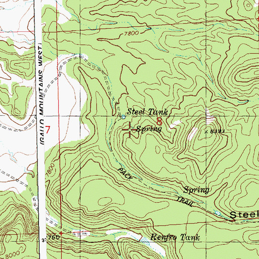 Topographic Map of Willie Steel Spring, NM