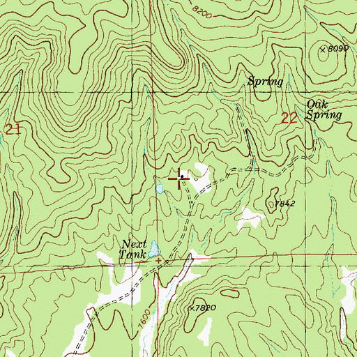 Topographic Map of Next Place, NM