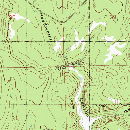 Topographic Map of Headwaters Spring, NM