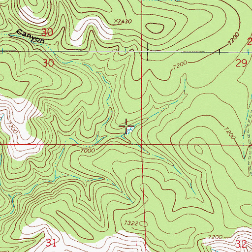 Topographic Map of Ben Williams Tank, NM