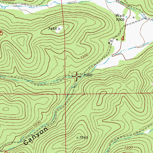 Topographic Map of Little Lewis Canyon, NM