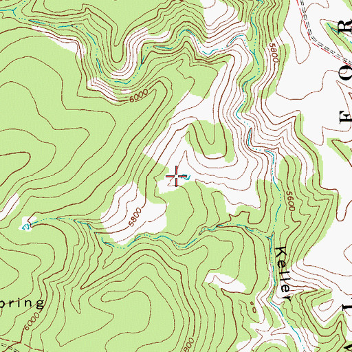 Topographic Map of Six Tank, NM