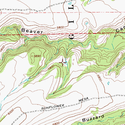 Topographic Map of Eva Tank, NM