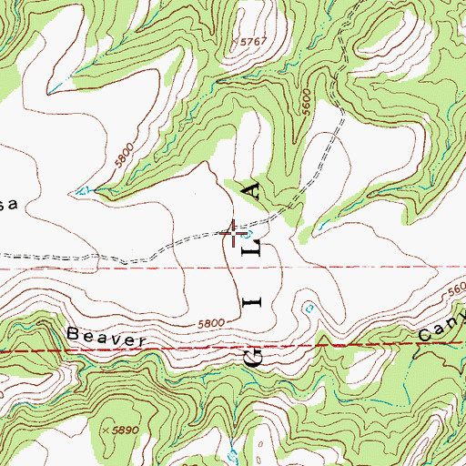 Topographic Map of Three Tank, NM