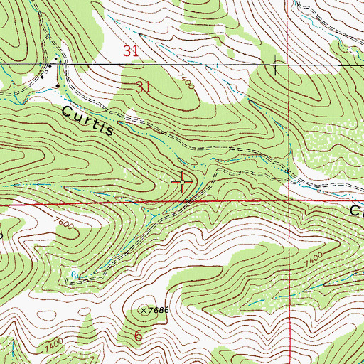 Topographic Map of Robinson Spring, NM