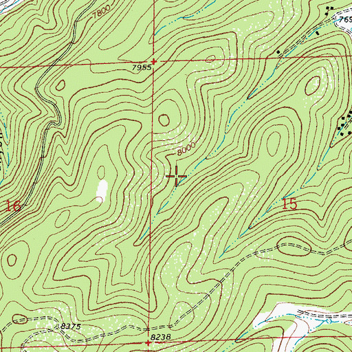 Topographic Map of West Tank, NM