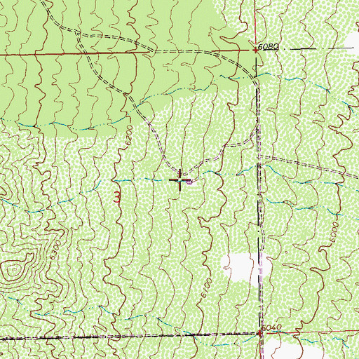 Topographic Map of Lonesome Tank, NM