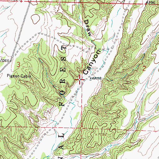 Topographic Map of Pigeon Windmill, NM