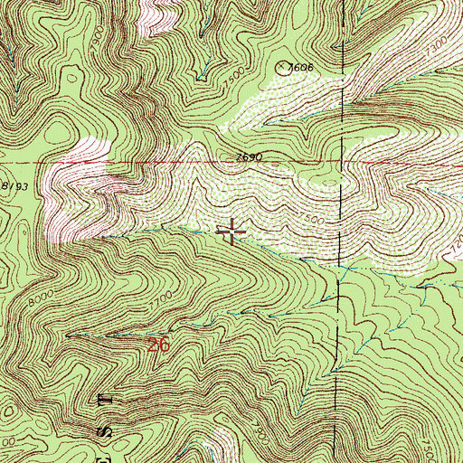 Topographic Map of Home Tank, NM