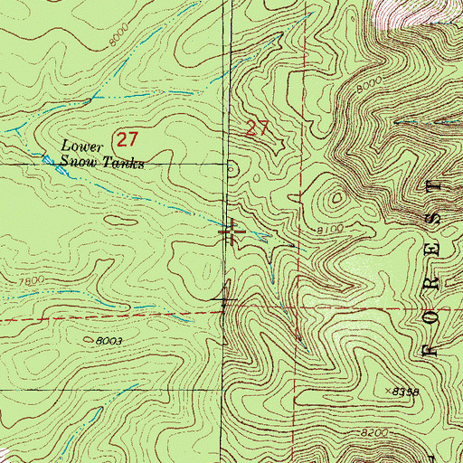 Topographic Map of Snow Tank, NM
