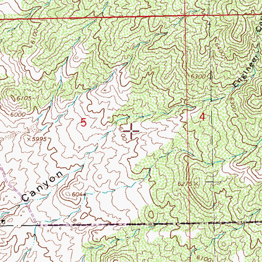 Topographic Map of Engineers Windmill, NM