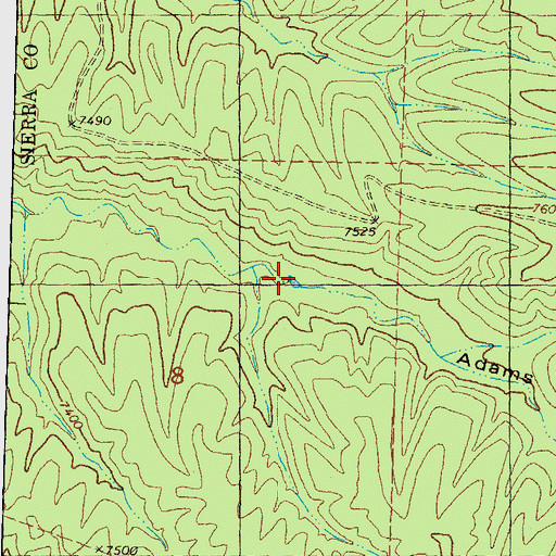 Topographic Map of Adams Tank, NM