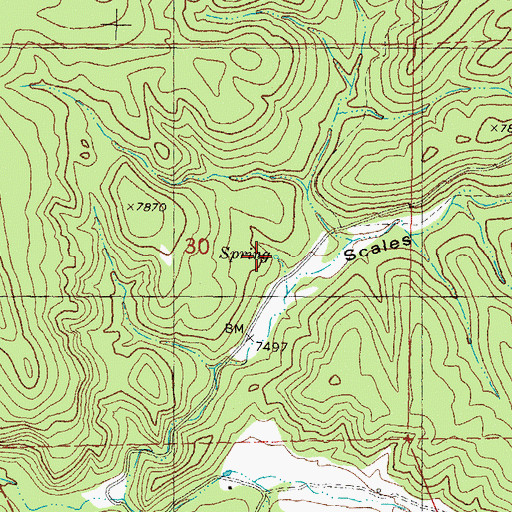 Topographic Map of Scales Creek Spring, NM