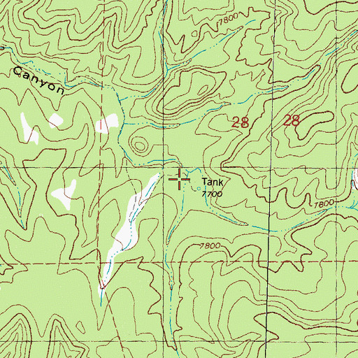 Topographic Map of Scales Windmill, NM