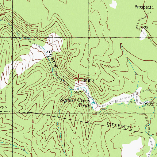 Topographic Map of Tin Mines, NM