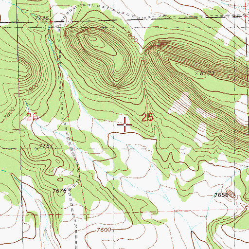 Topographic Map of Gap Tank, NM