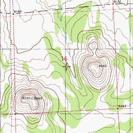 Topographic Map of Beard Tank, NM