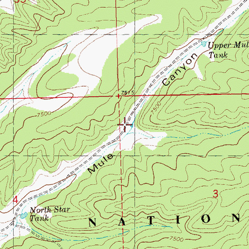 Topographic Map of Mule Tank, NM