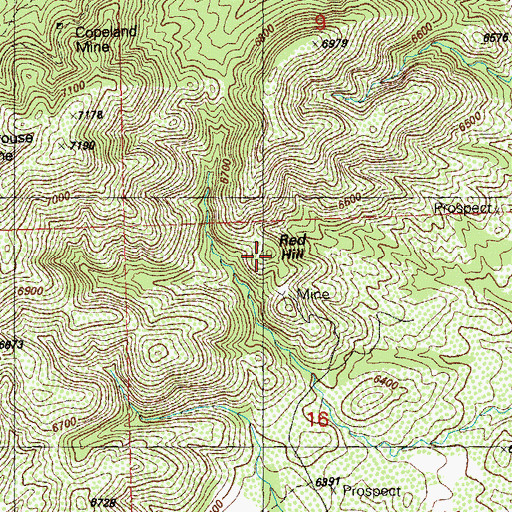 Topographic Map of Red Hill, NM