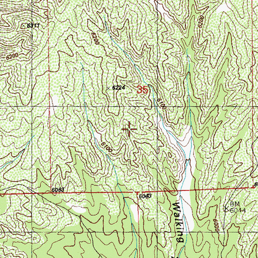 Topographic Map of Gold Gulch Windmill, NM