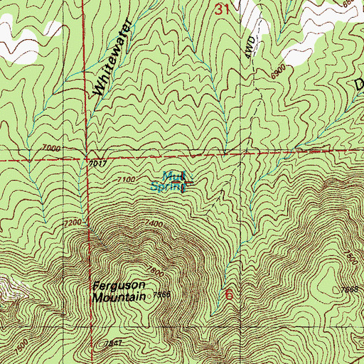 Topographic Map of Mud Spring, NM