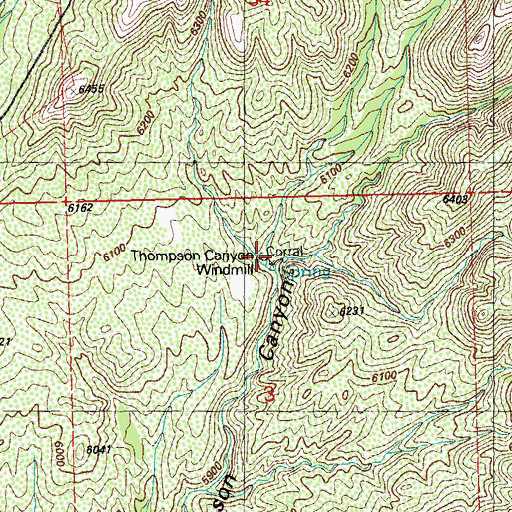 Topographic Map of Thompson Windmill, NM