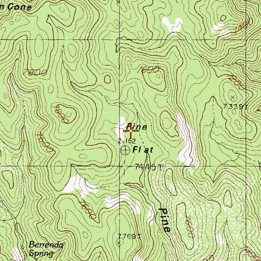 Topographic Map of Pine Flat, NM