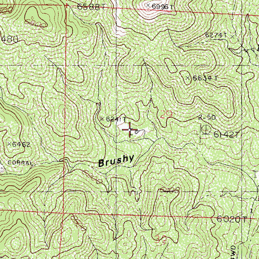 Topographic Map of Rice Tank, NM