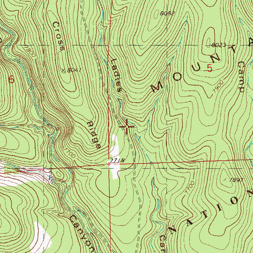 Topographic Map of Lady Tank, NM