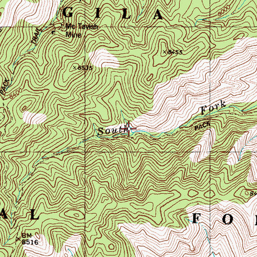 Topographic Map of Beu Spring, NM