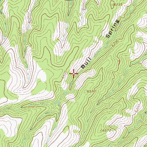 Topographic Map of Bull Spring, NM