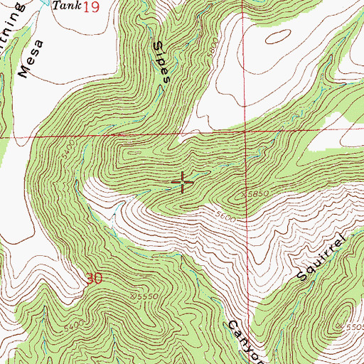 Topographic Map of Branding Tree Spring, NM