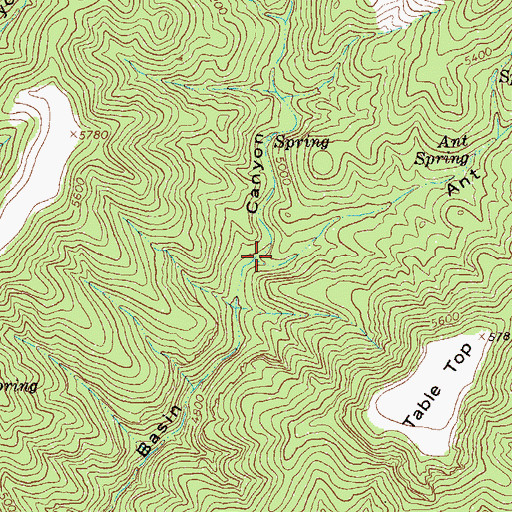 Topographic Map of Lower Ant Spring, NM