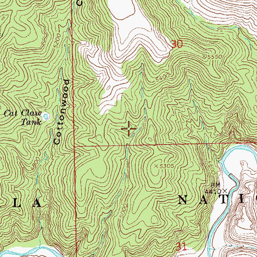 Topographic Map of Cat Spring, NM