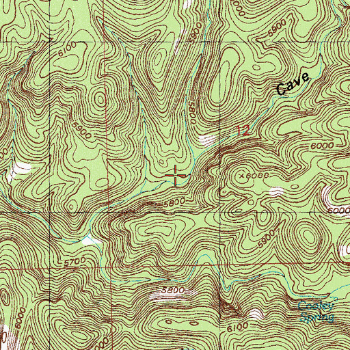 Topographic Map of Lower Cave Creek Spring, NM