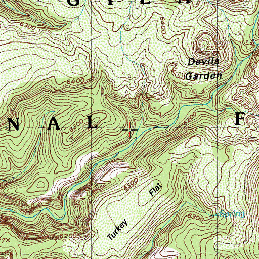 Topographic Map of Sycamore Spring, NM