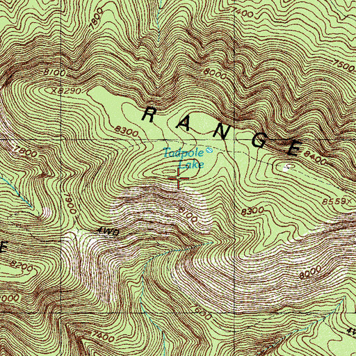 Topographic Map of Tadpole Lake, NM