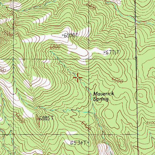 Topographic Map of Maverick Spring, NM