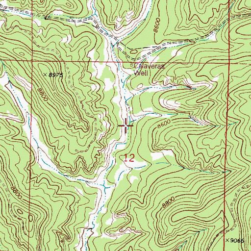 Topographic Map of Calaveras Well, NM