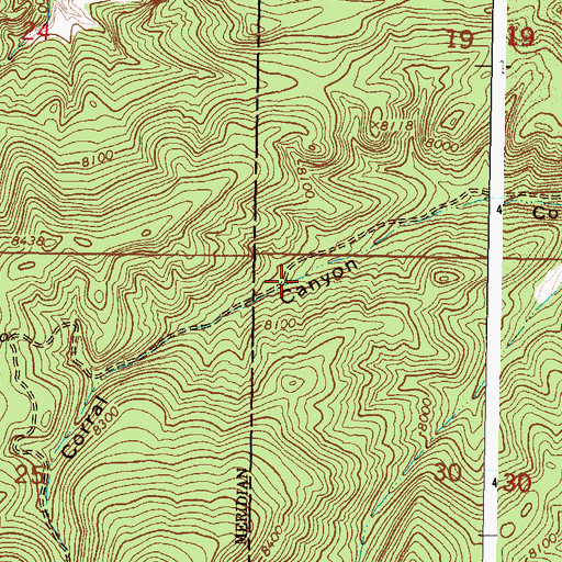 Topographic Map of Leon Spring, NM
