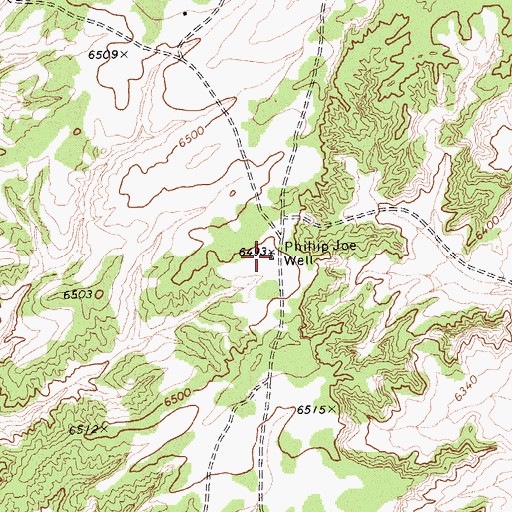 Topographic Map of Phillip Joe Well, AZ