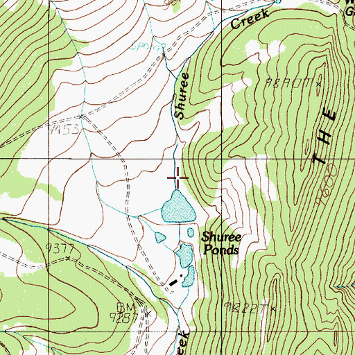 Topographic Map of Shuree Picnic Area, NM