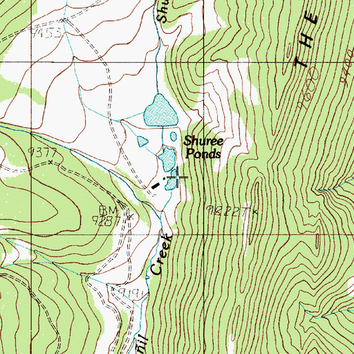 Topographic Map of Shuree, NM